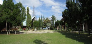 IMG_2292-Spacious-and-Clean-Yard