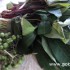 gobatak-menu-sunday-afternoon-with-daun-ubi-tumbuk
