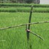 a-new-method-for-mamuro2