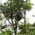 dsc03261