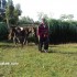 dsc03320