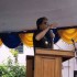 horas-samosir-fiesta-2010-16