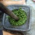 manunda-daun-ubi2