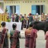 ritual parmalim sipahalima