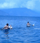 danau toba
