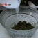 memasak-sayur-bangun-bangun-video-kuliner-tradisional