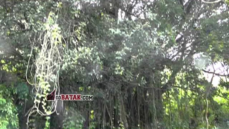 Pemandian Sakral Di Sianjur Mula-Mula Dipercaya Dapat Menyembuhkan Segala Jenis Penyakit