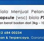 pelangsing-woo-tekh