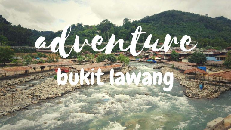 Wisata Bukit Lawang Wisata Alam Paling Diminati Wisatawan