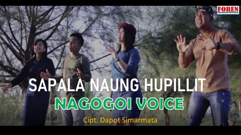 Lirik Lagu Batak Sapala Naung Hupilit